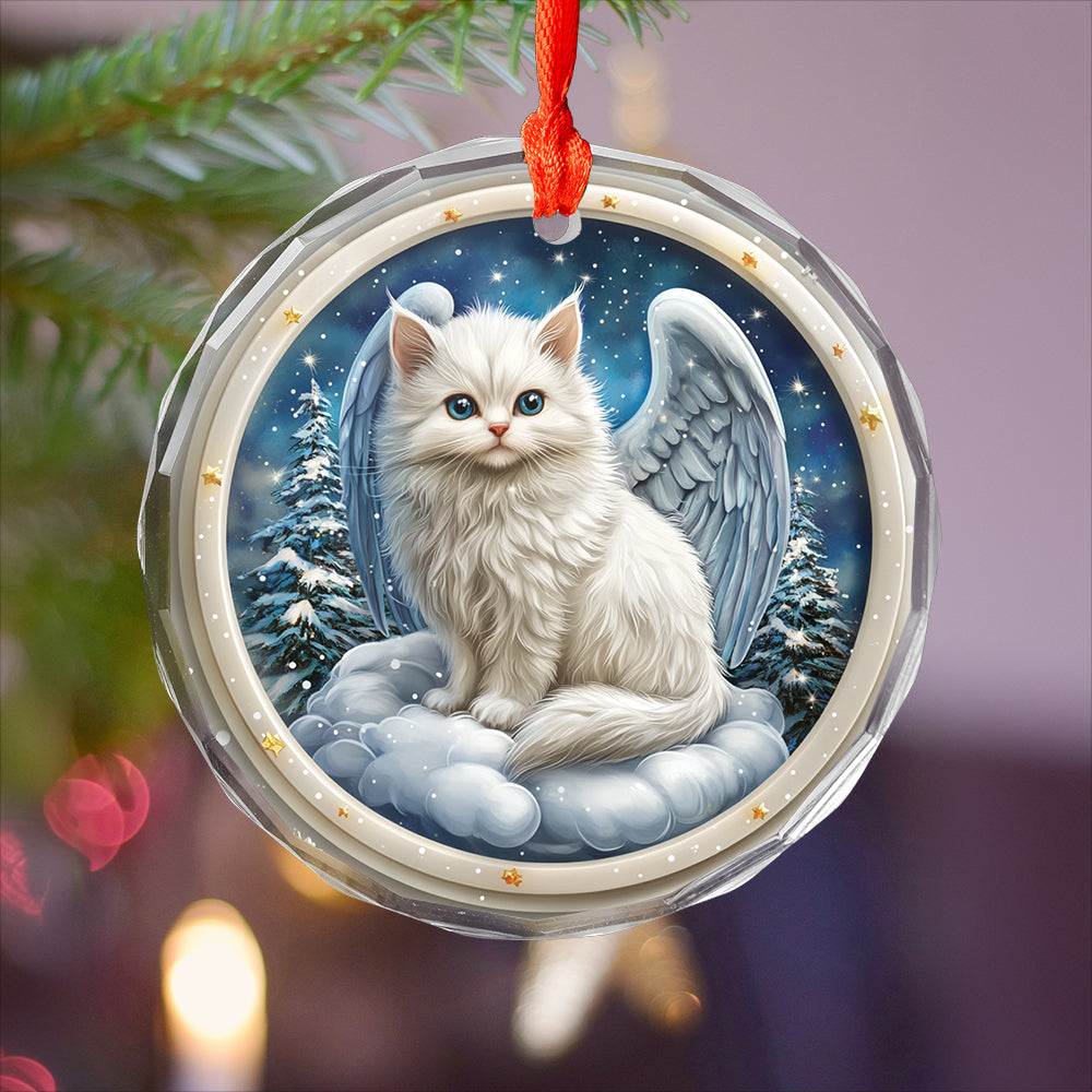 Angel Turkish Angora 2