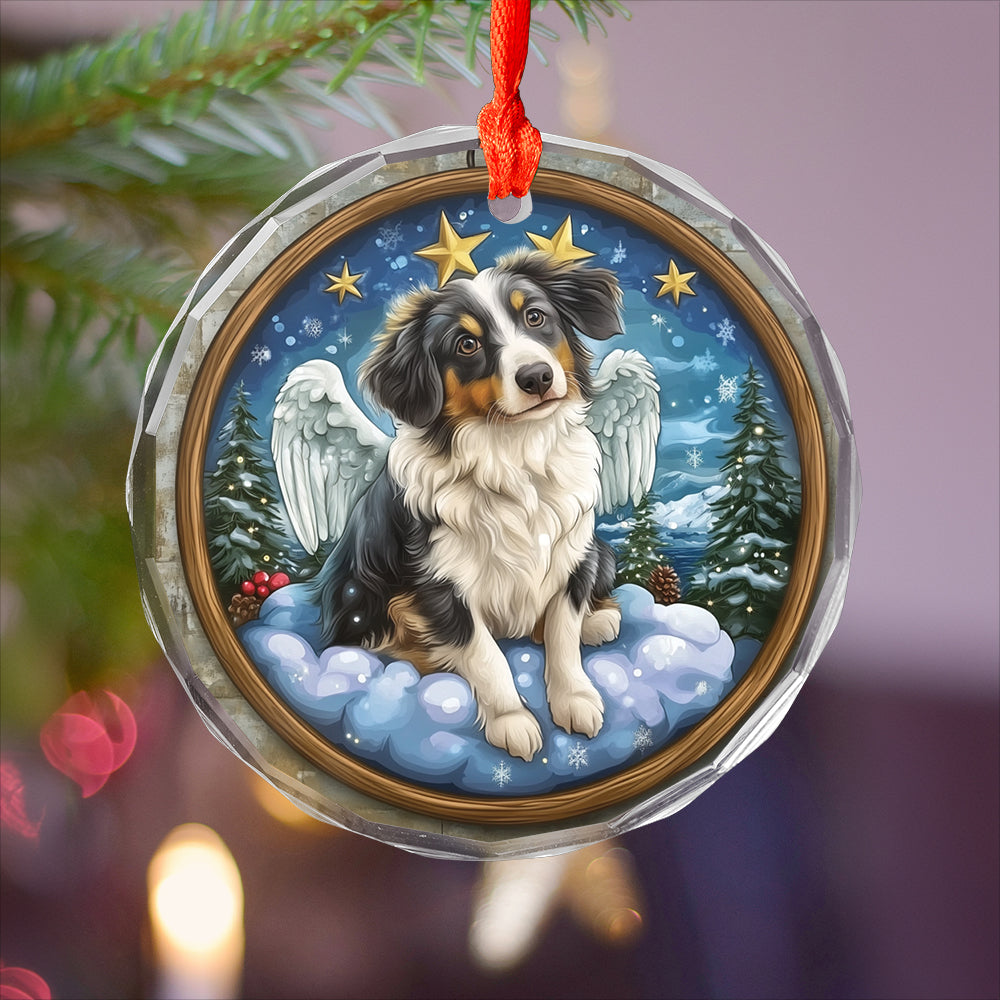 Angel Australian Shepherd Dog 2