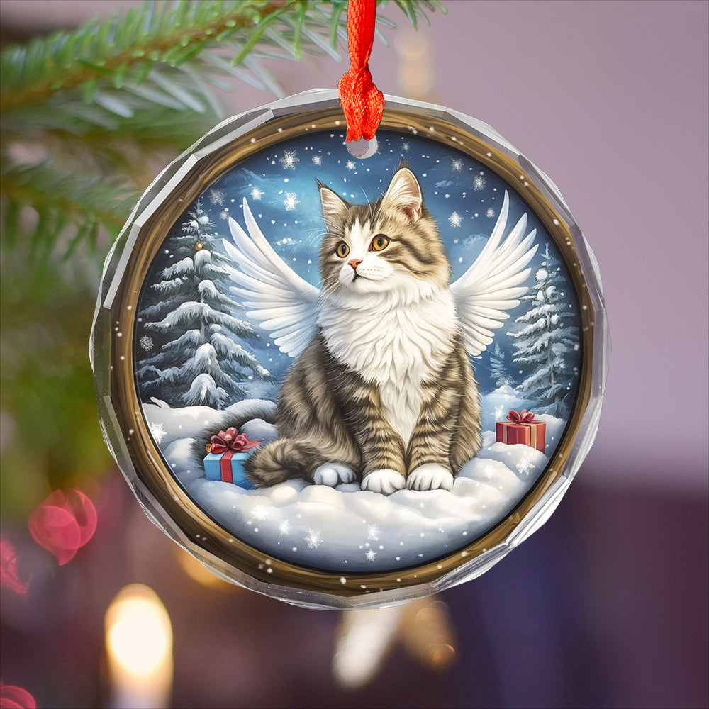 Angel Siberian Cat 3