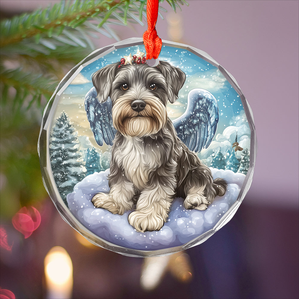 Angel Miniature Schnauzer Dog 1