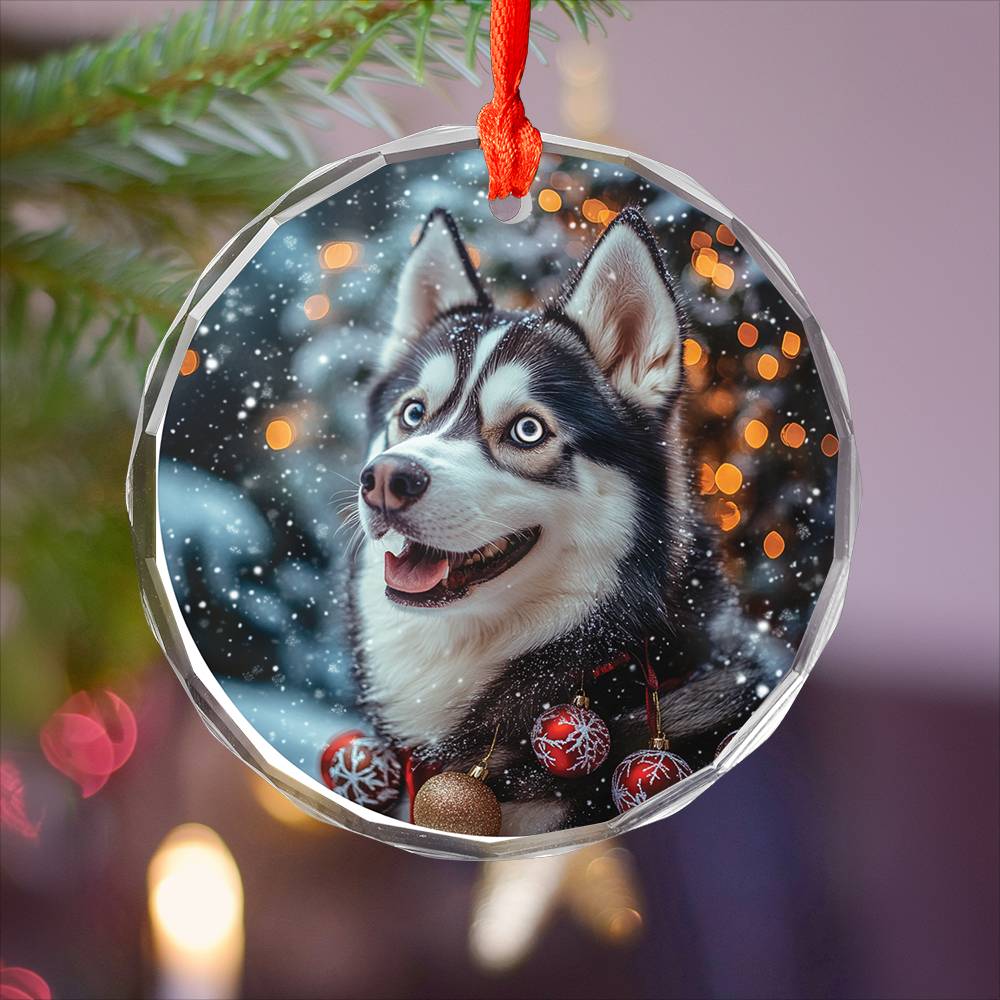 Beautiful Angus Huskie Dog Christmas Night Design 2 Glass Ornament
