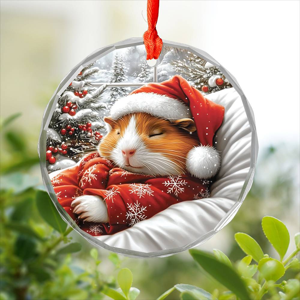 Guinea Pig Sleeping In Bed Design 3