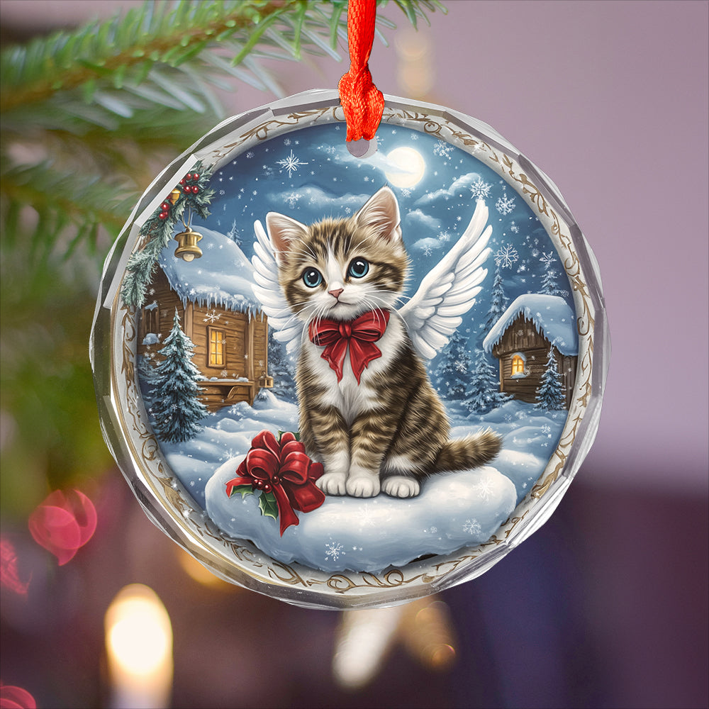 Angel American Shorthair Cat 3