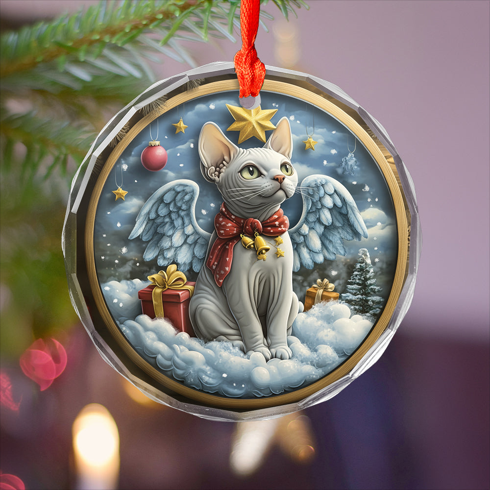 Angel Sphynx Cat 2