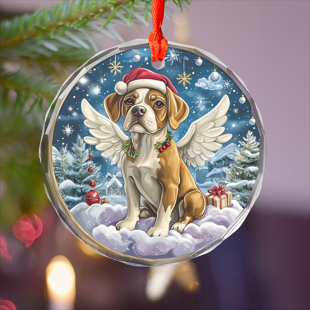 Angel Boxer Dog 3