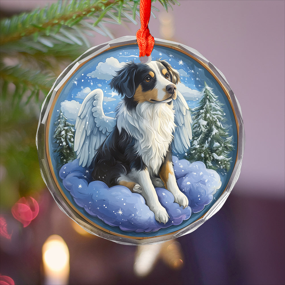 Angel Border Collie Dog 2