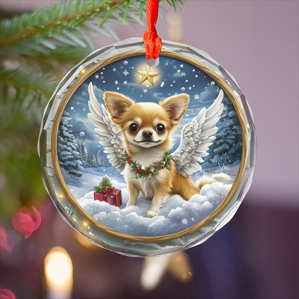Angel Chihuahua Dog 3