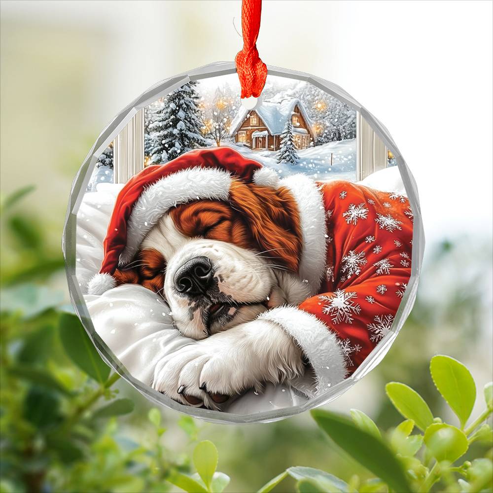 Saint Bernard Dog Sleeping In Bed Design 2