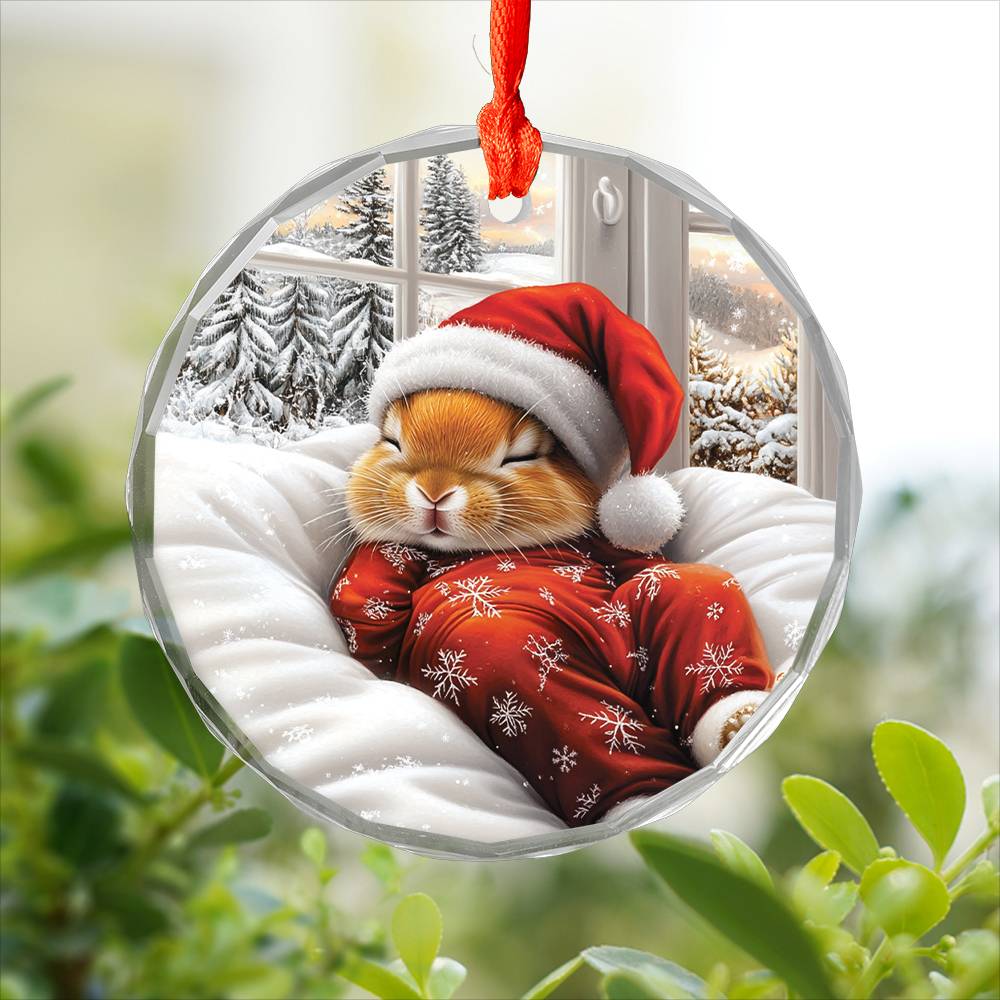 Rabbit Sleeping In Bed Design 4