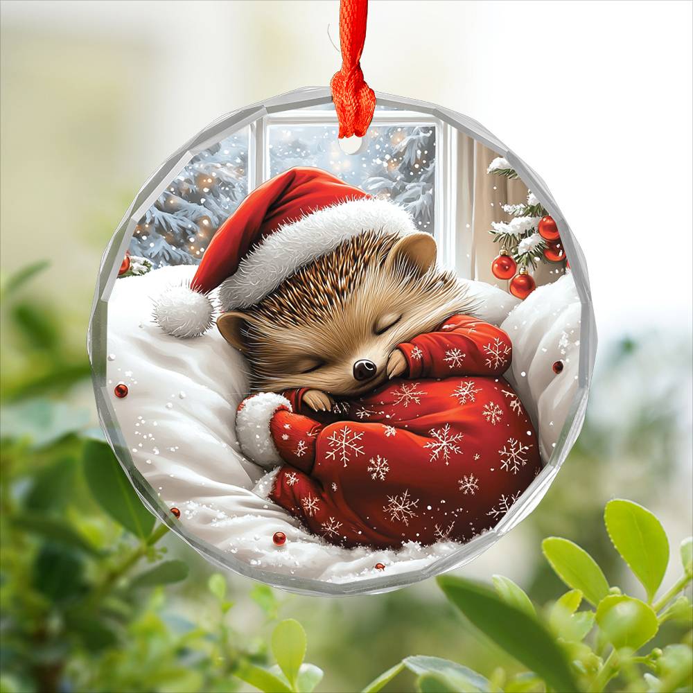 Hedgehog Sleeping In Bed Design 4