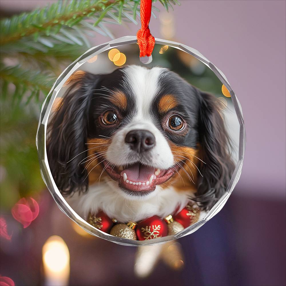 Beautiful Angus Cavalier King Charles Spaniel Dog Christmas Night Design 3 Glass Ornament