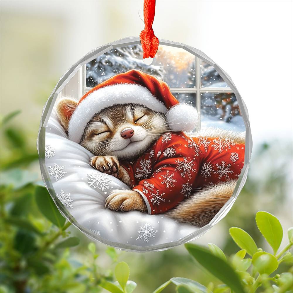 Ferret Sleeping In Bed Design 1