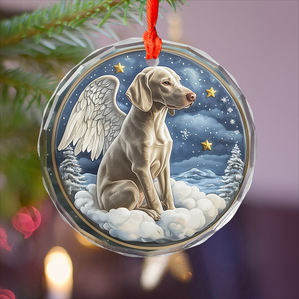 Angel Weimaraner Dog 2