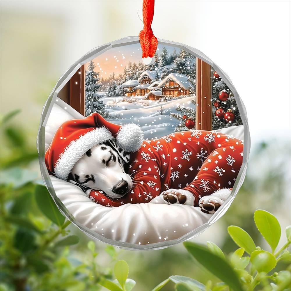 Dalmatian Dog Sleeping In Bed Design 3
