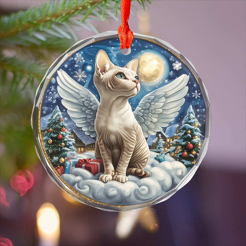 Angel Sphynx Cat 4