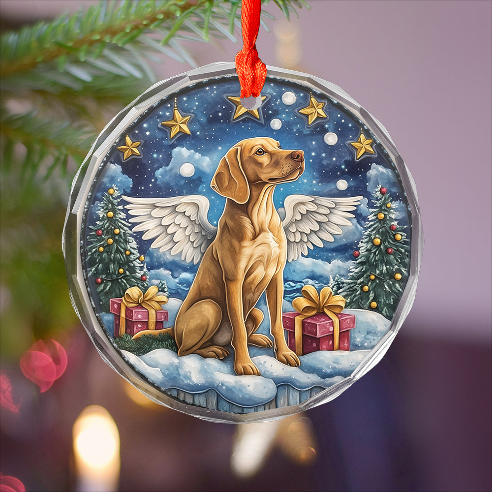 Angel Vizsla Dog 3