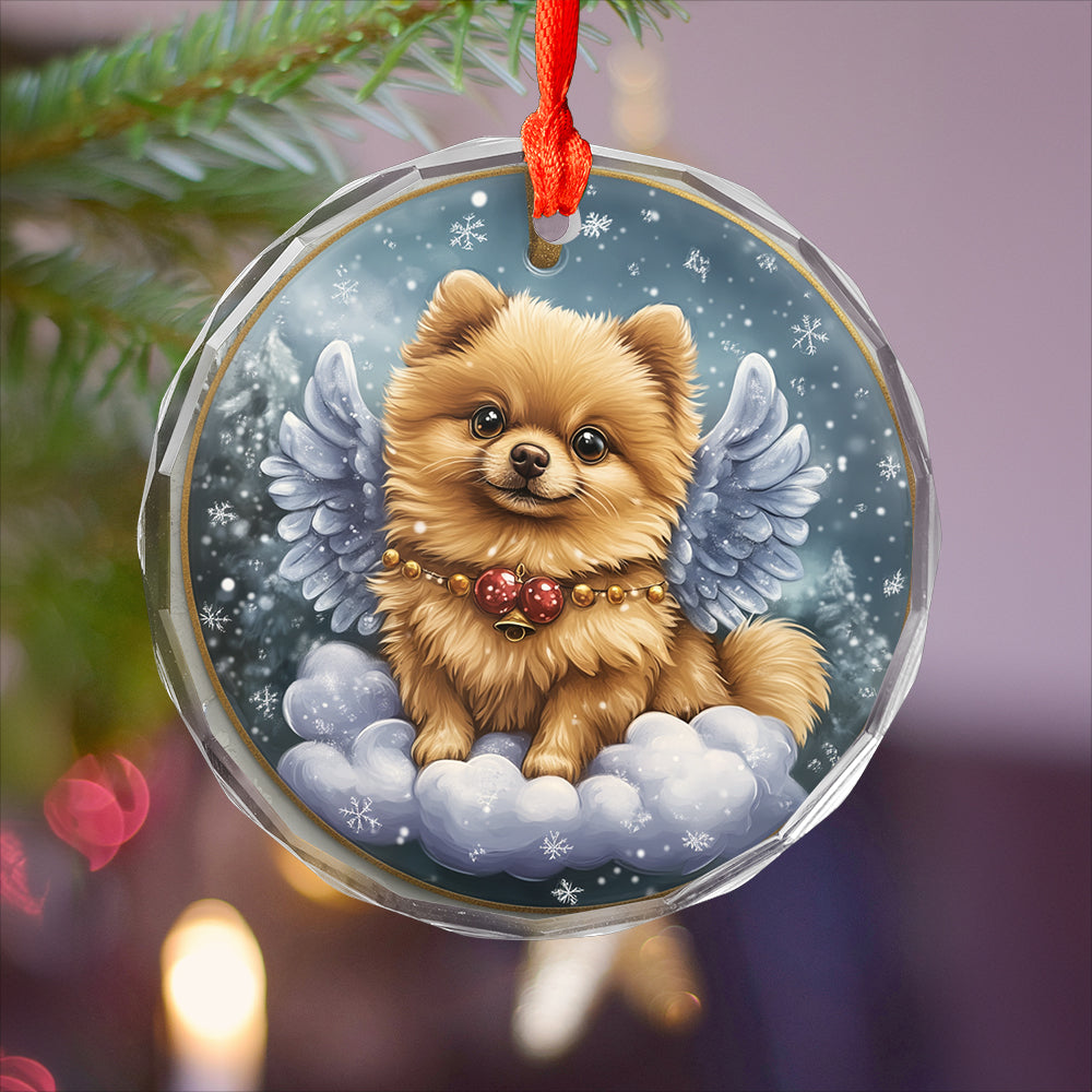 Angel Pomeranian Dog 4