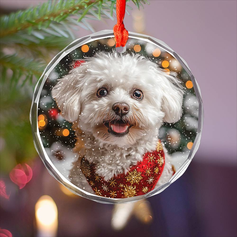 Beautiful Bichon Frise Dog Christmas Night Design 4 Glass Ornament