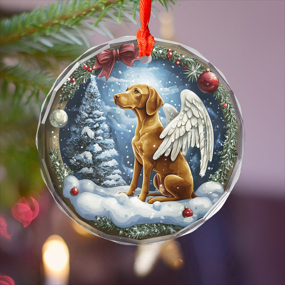 Angel Vizsla Dog 1