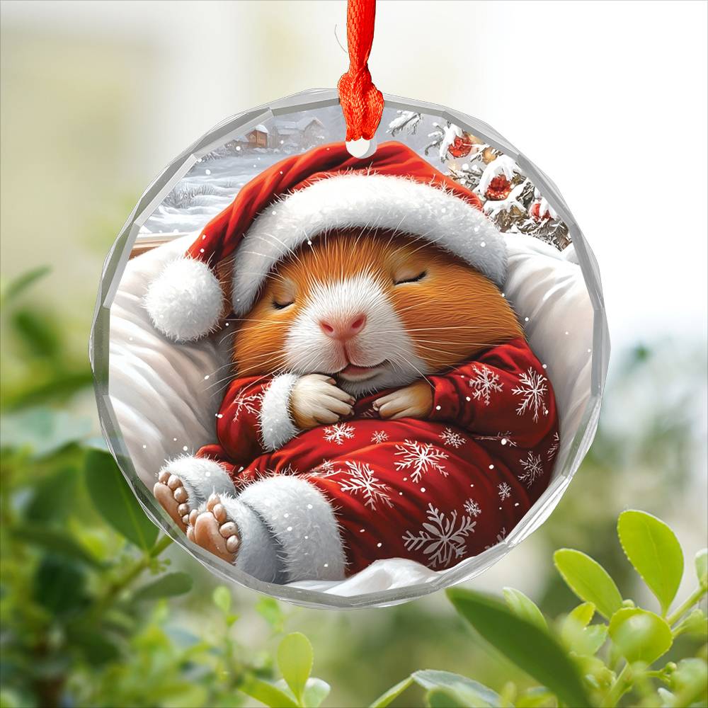 Guinea Pig Sleeping In Bed Design 4