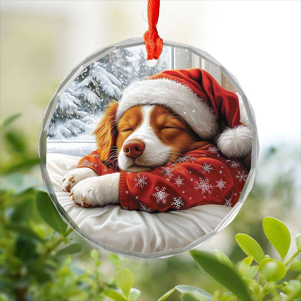 Australian Shepherd Dog Sleeping In Bed Design 2