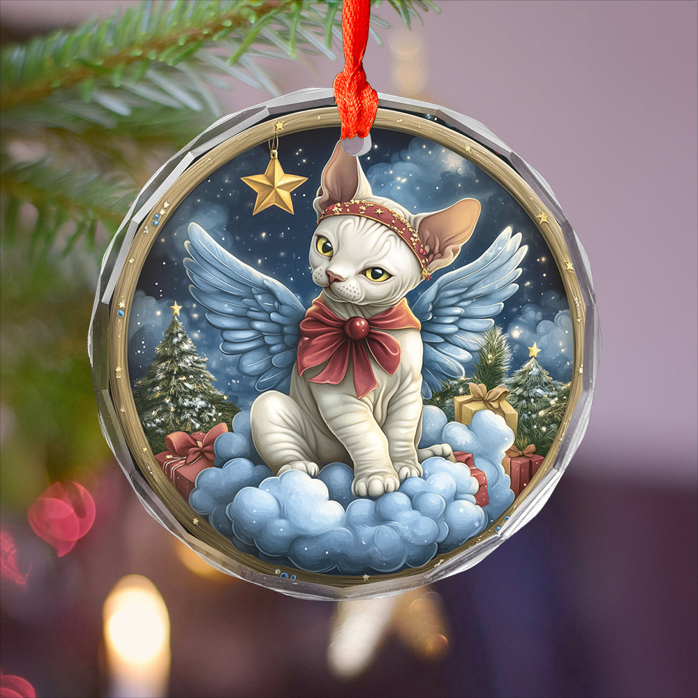 Angel Sphynx Cat 1