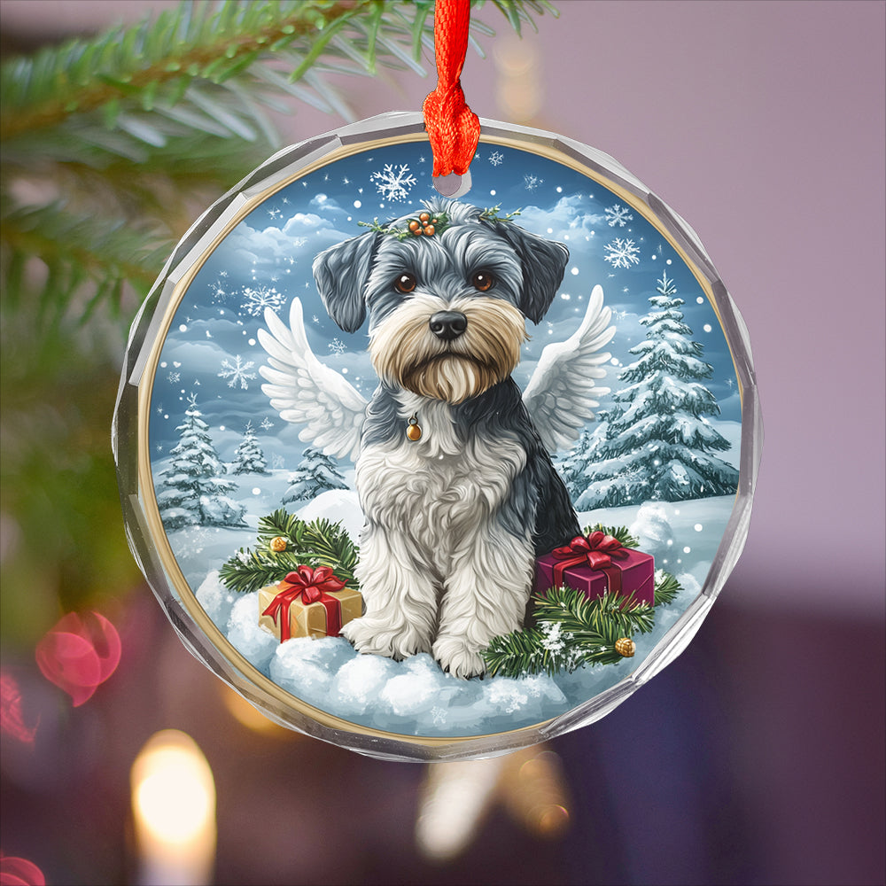 Angel Miniature Schnauzer Dog 4