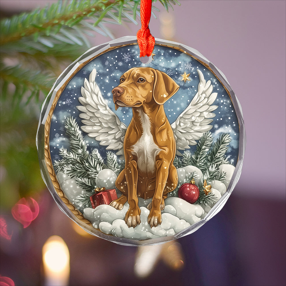 Angel Rhodesian Ridgeback Dog 1