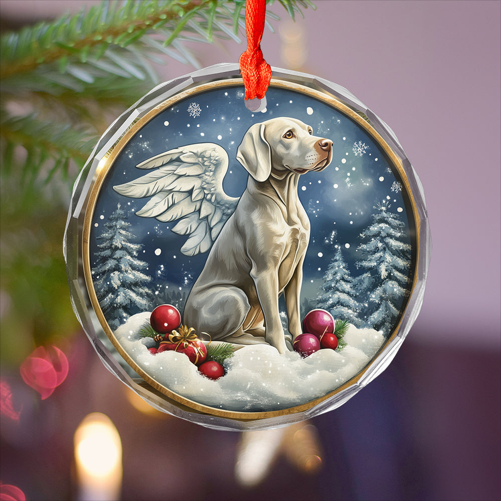 Angel Weimaraner Dog 4