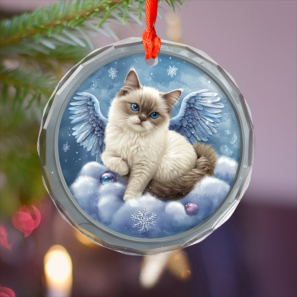 Angel Siamese Cat 1