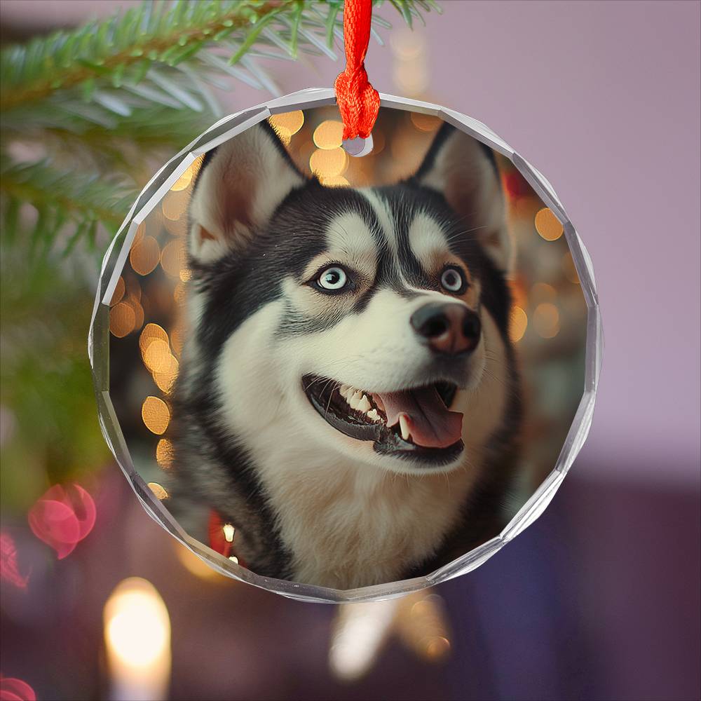 Beautiful Angus Huskie Dog Christmas Night Design 1 Glass Ornament