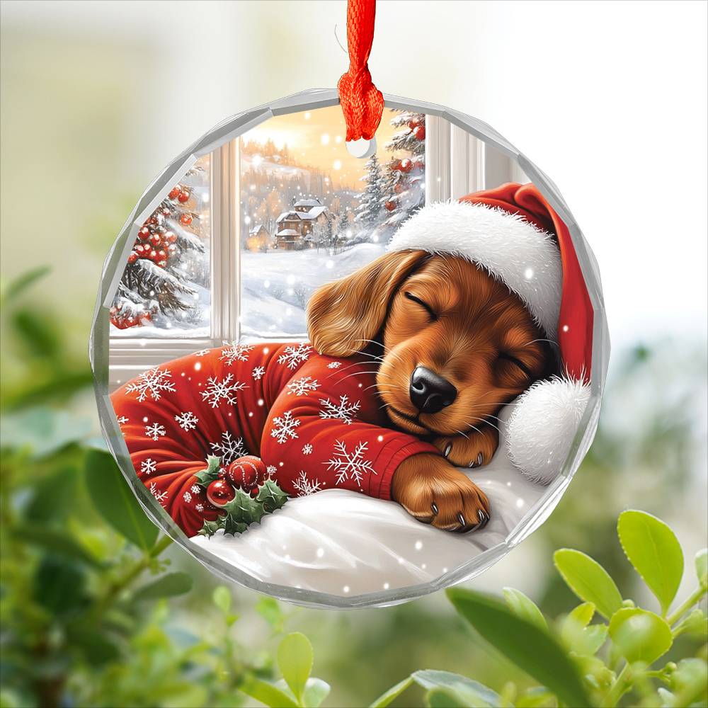 Dachshund Dog Sleeping In Bed Design 2