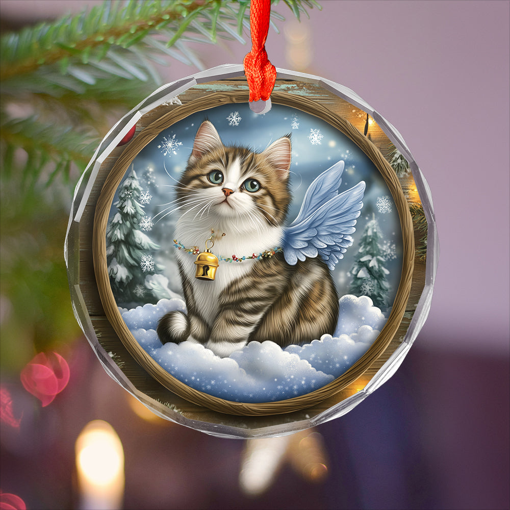 Angel Norwegian Forest Cat 3