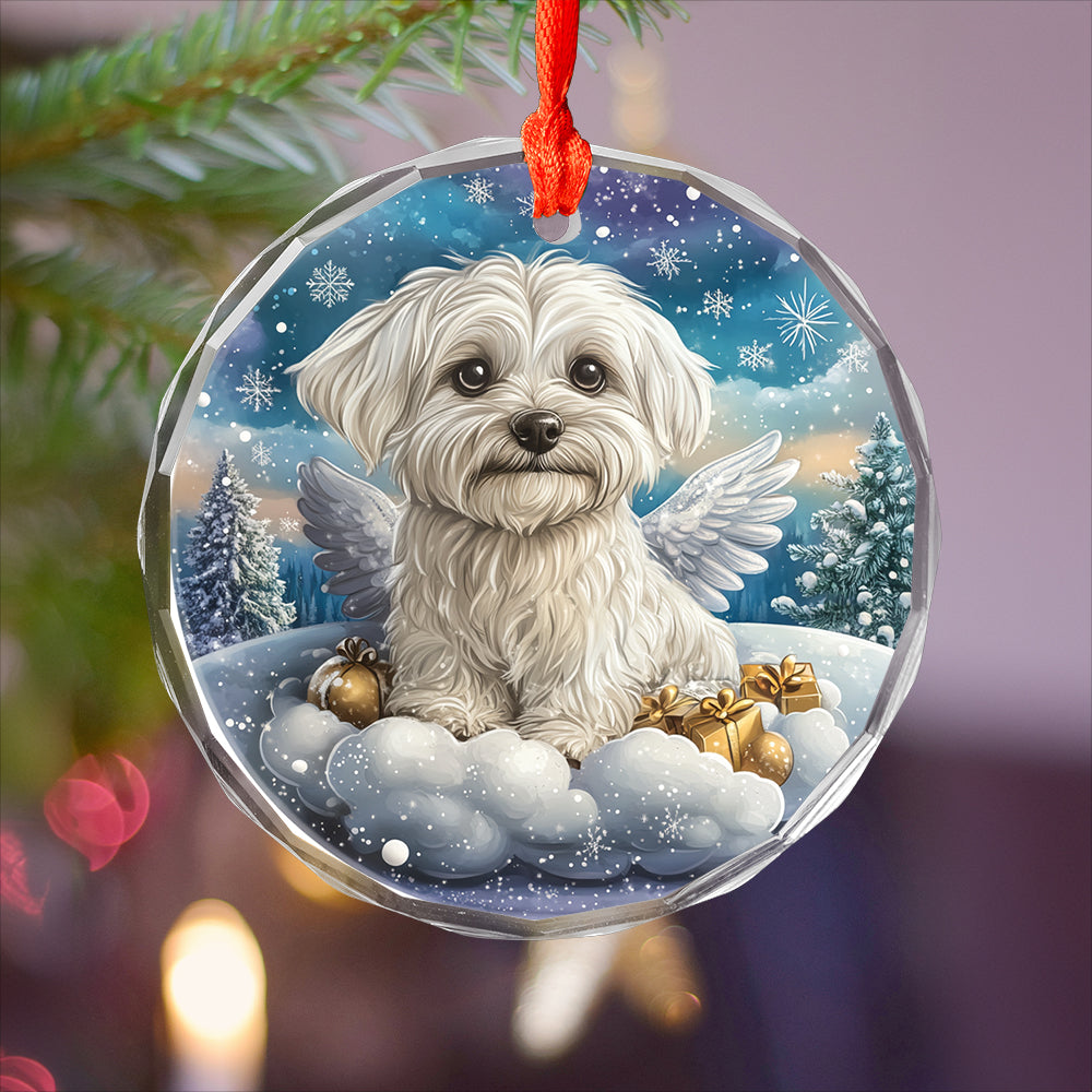 Angel Maltese Dog 2