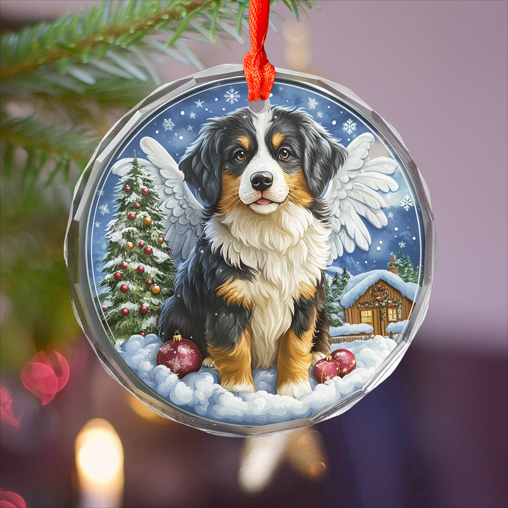 Angel Australian Shepherd Dog 4