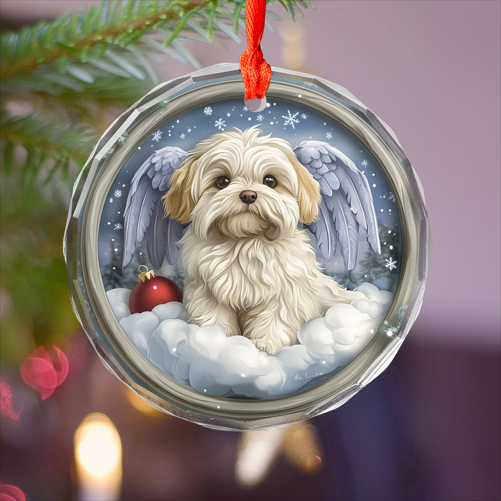 Angel Maltese Dog 3