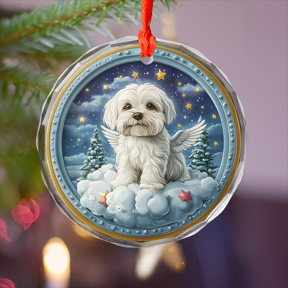 Angel Maltese Dog 1