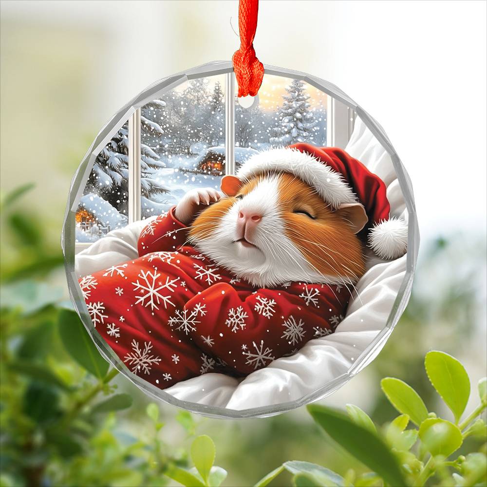 Guinea Pig Sleeping In Bed Design 2