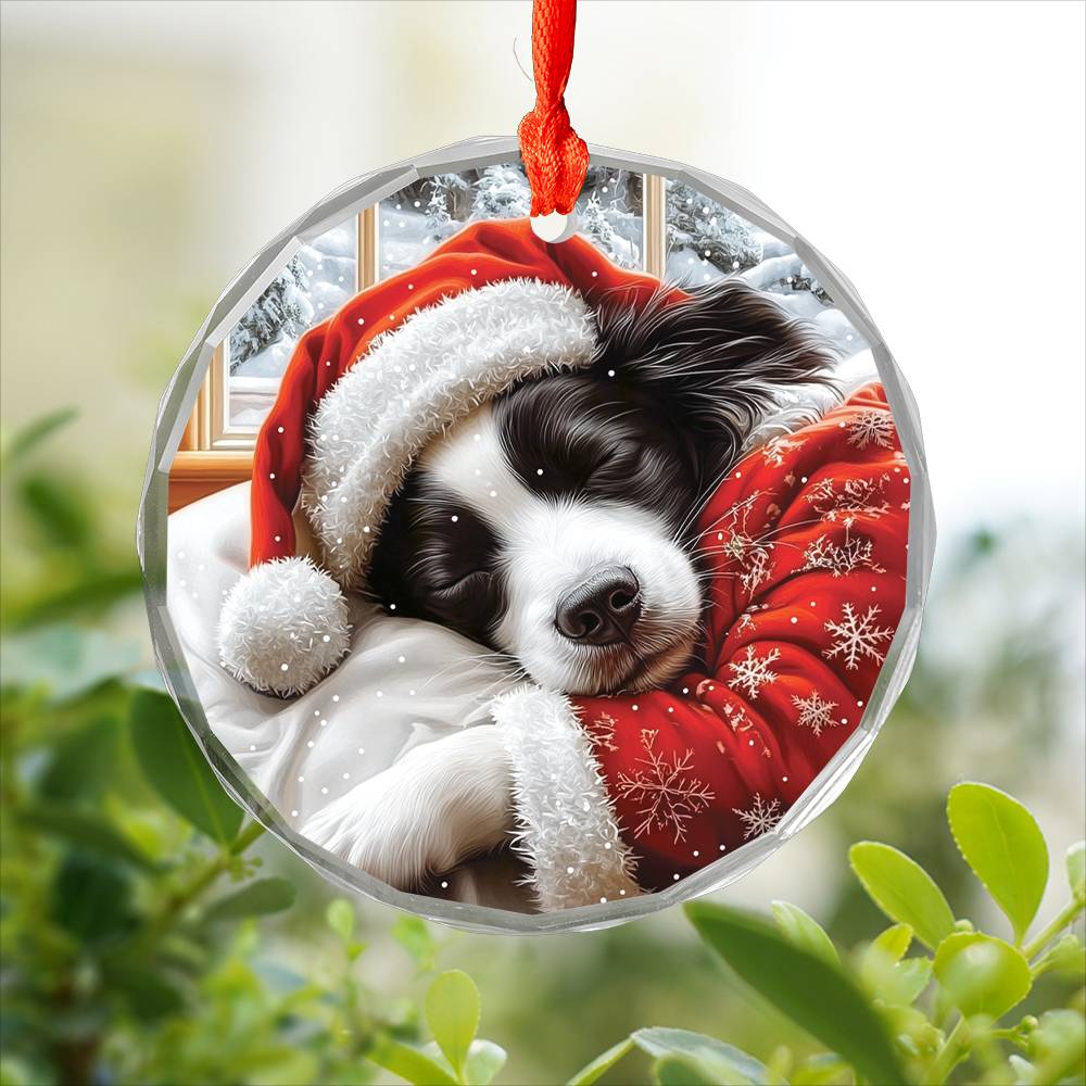 Border Collie Dog Sleeping In Bed Design 3