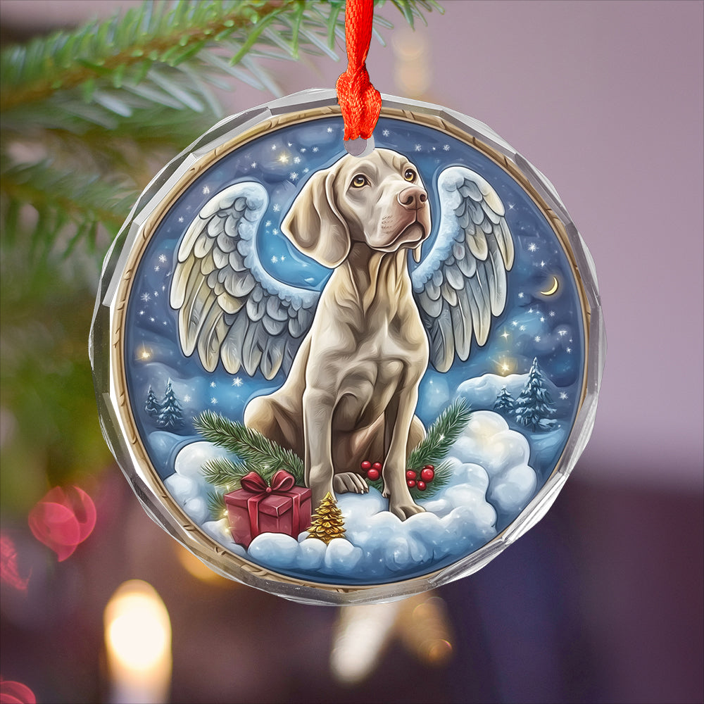 Angel Weimaraner Dog 3