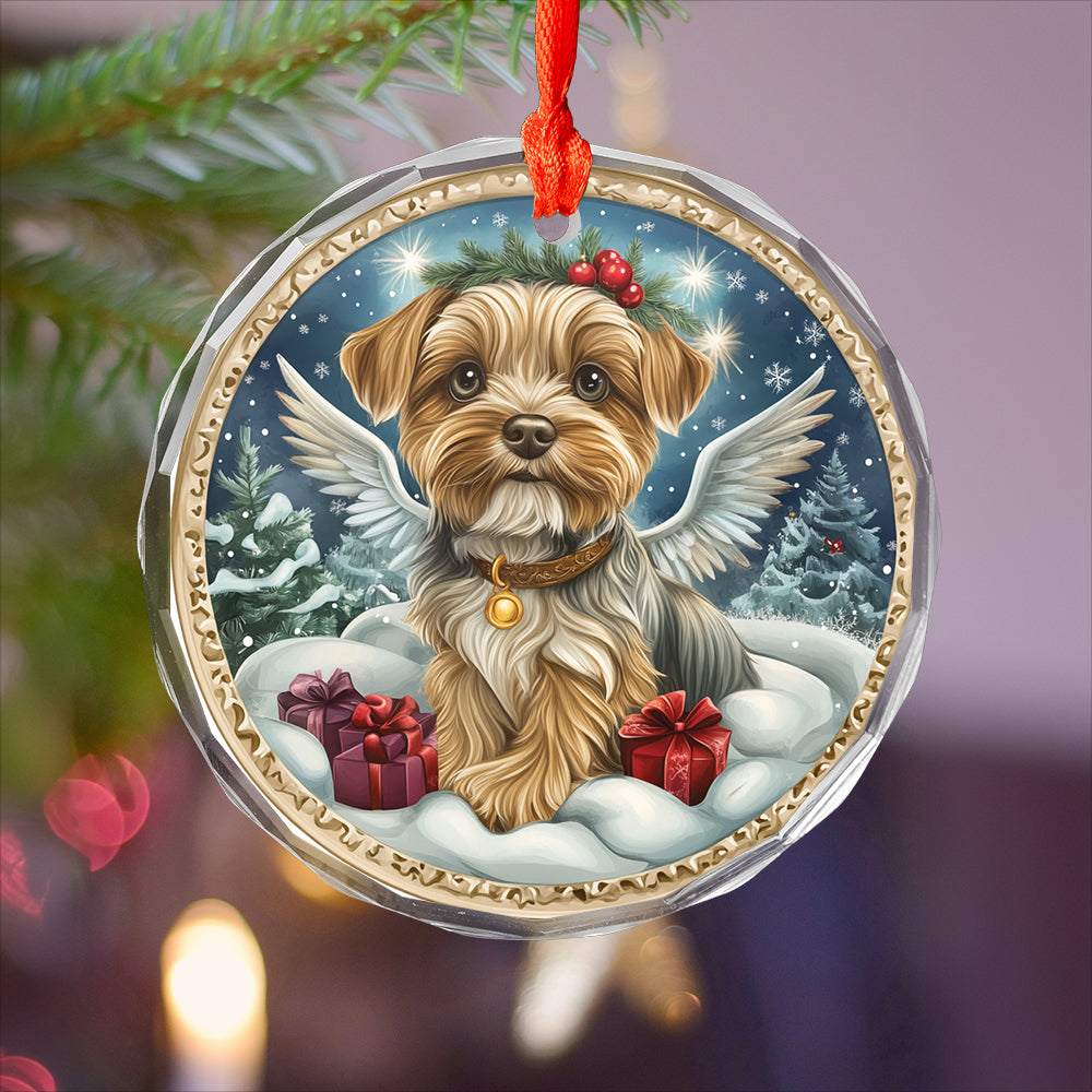 Angel Yorkshire Terrier Dog 4