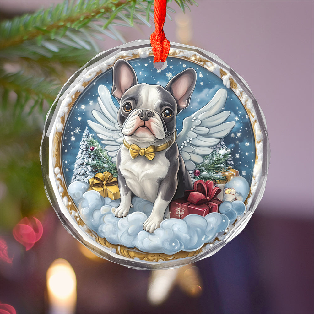 Angel Boston Terrier Dog 4