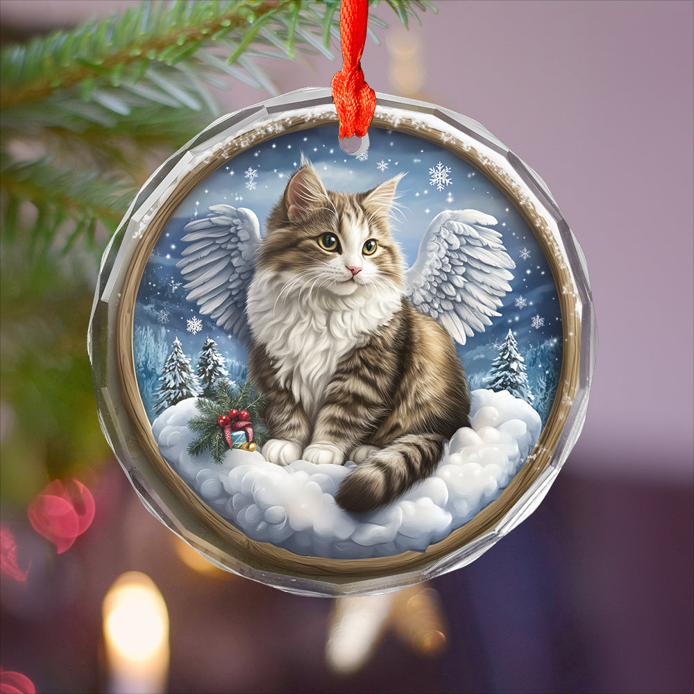Angel Siberian Cat 2