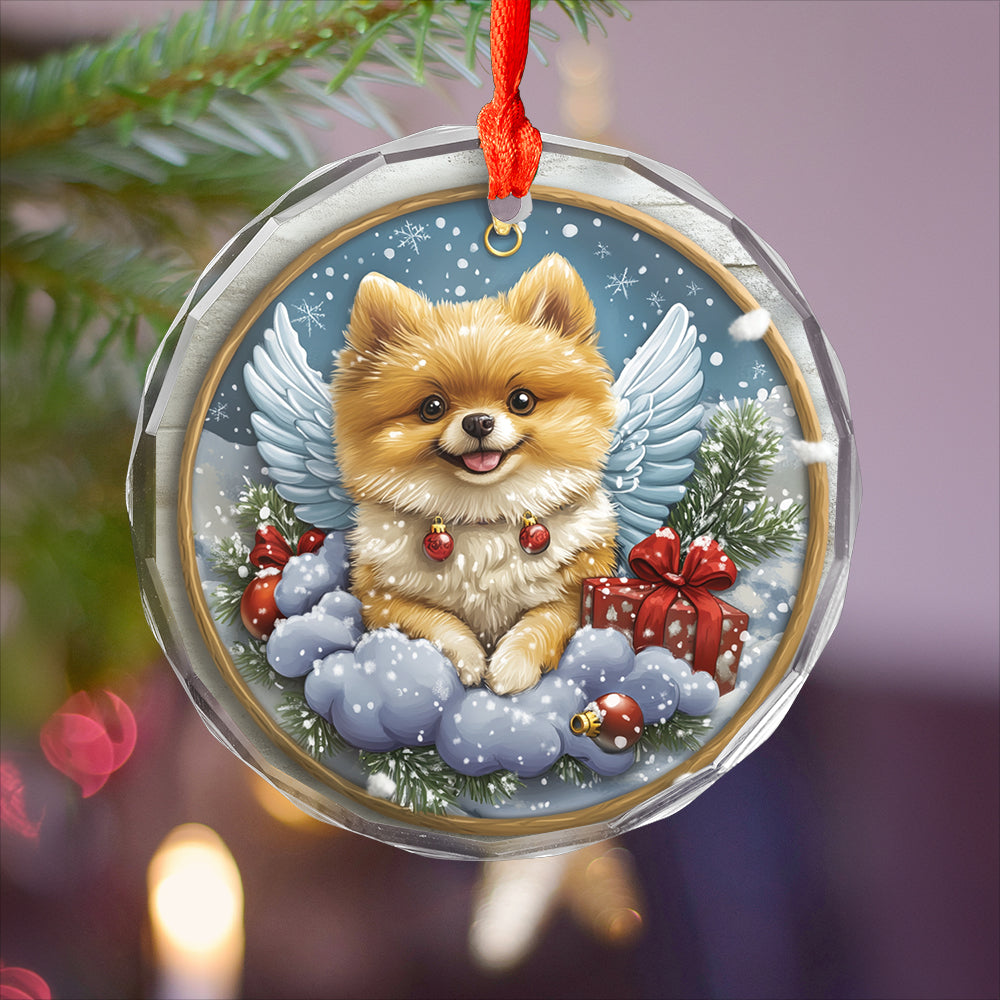 Angel Pomeranian Dog 2