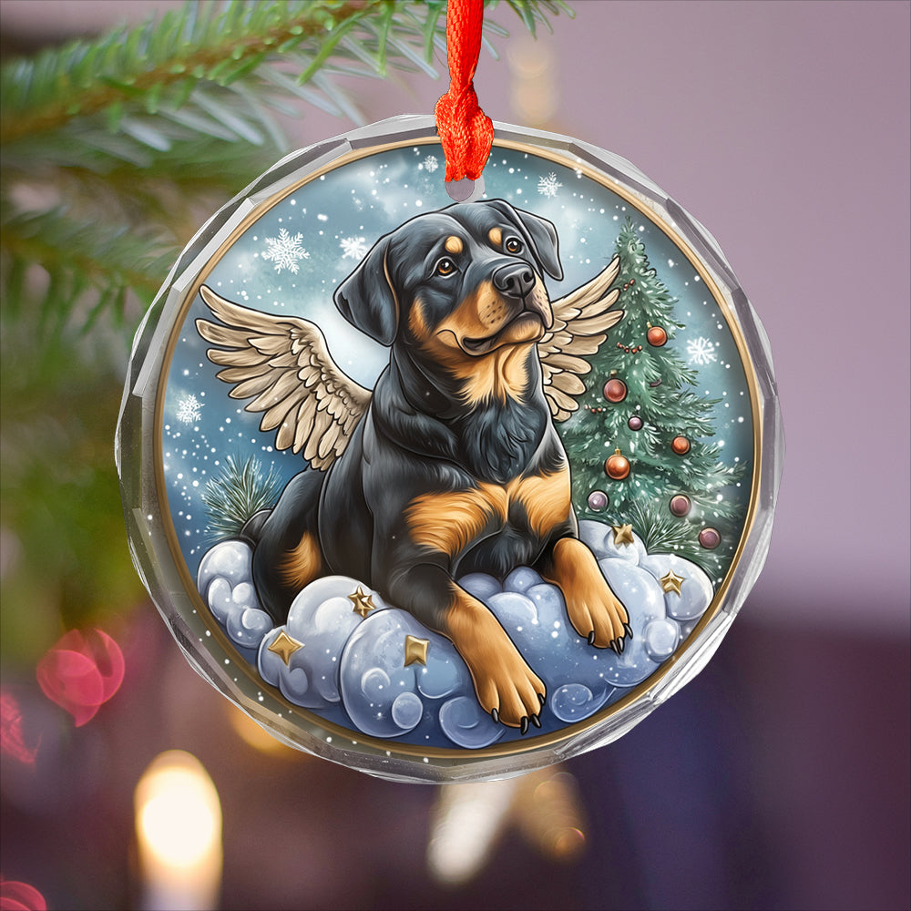 Angel Rottweiler Dog 3