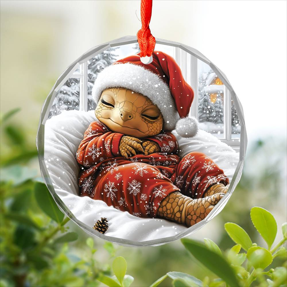 Turtle Sleeping In Bed Design 3