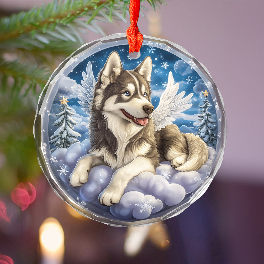 Angel Siberian Husky Dog 1