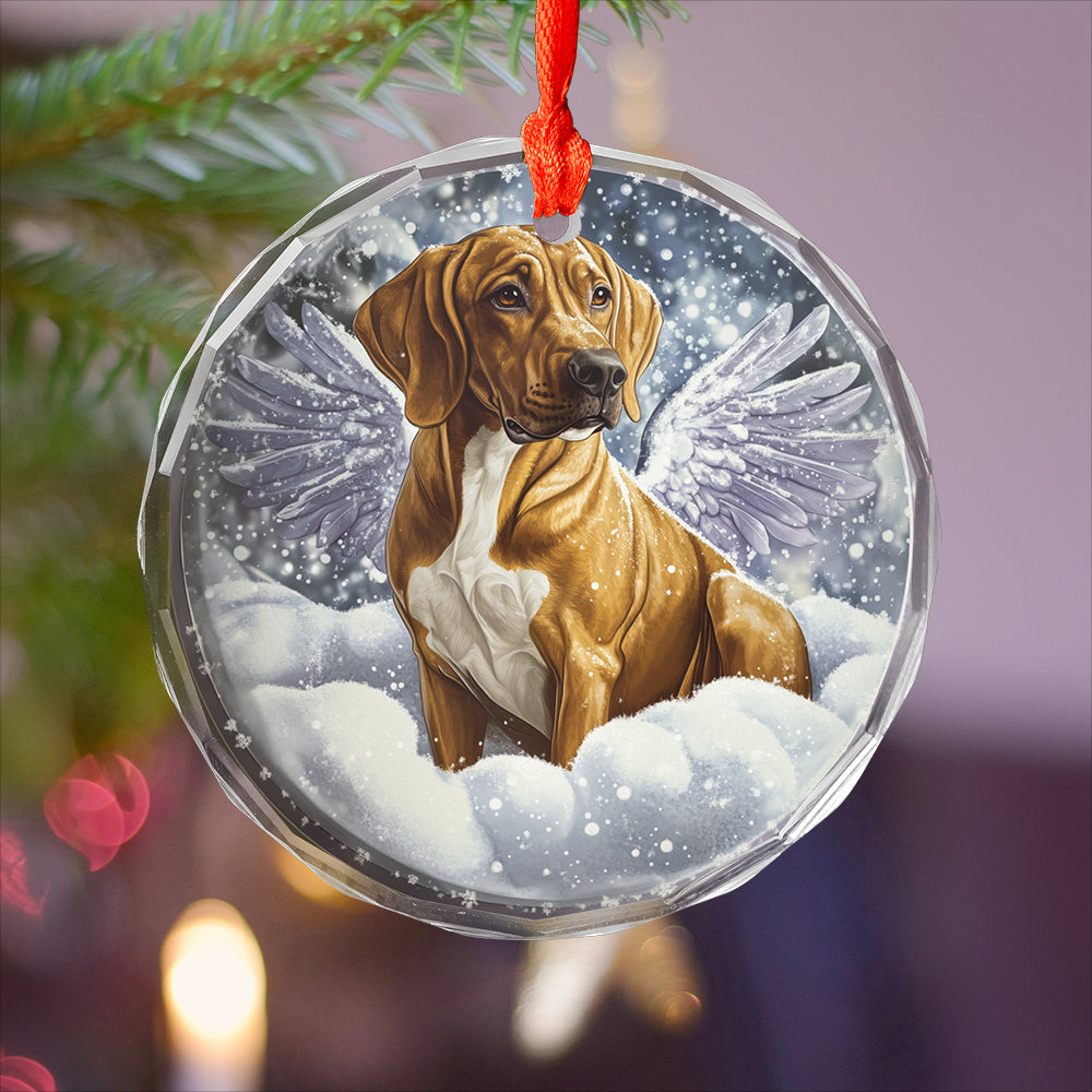 Angel Rhodesian Ridgeback Dog 4