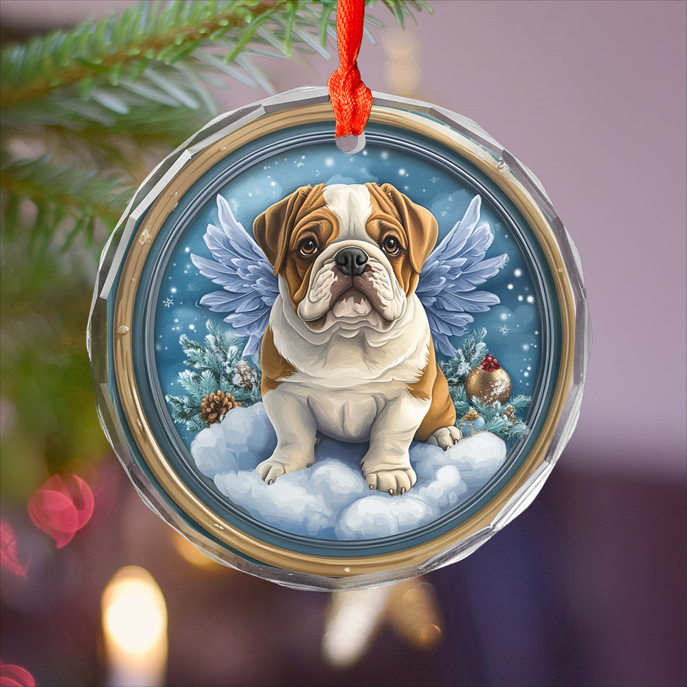 Angel Bulldog 3