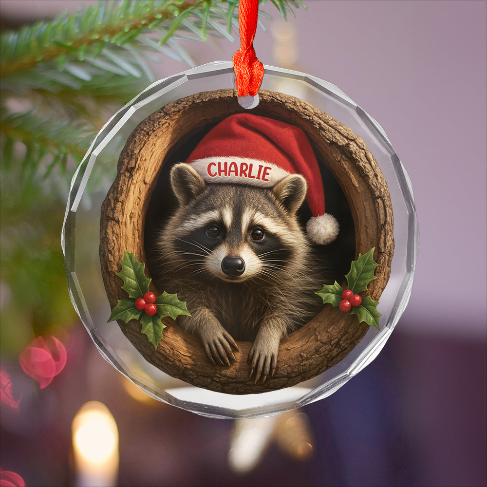 Custom Name Raccoon Xmas